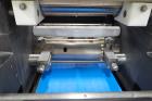 Dominioni Rsa 250 Ravioli Machine
